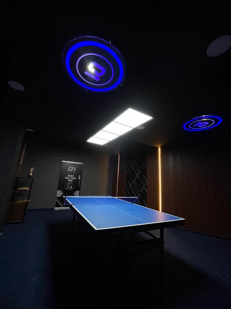 Table Tennis Room